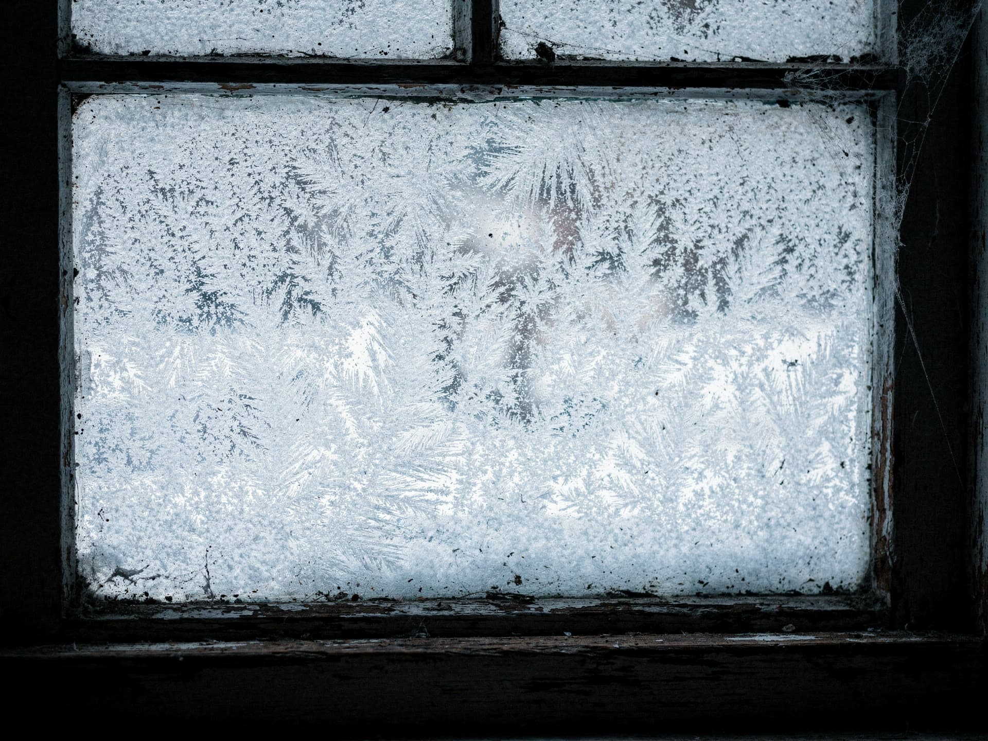 Frost crystals across the panes of an old basement window on a cold morning